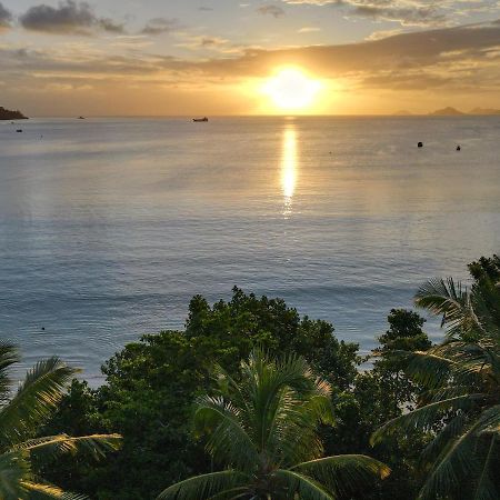 Nautilus Apartments Anse Royale Buitenkant foto